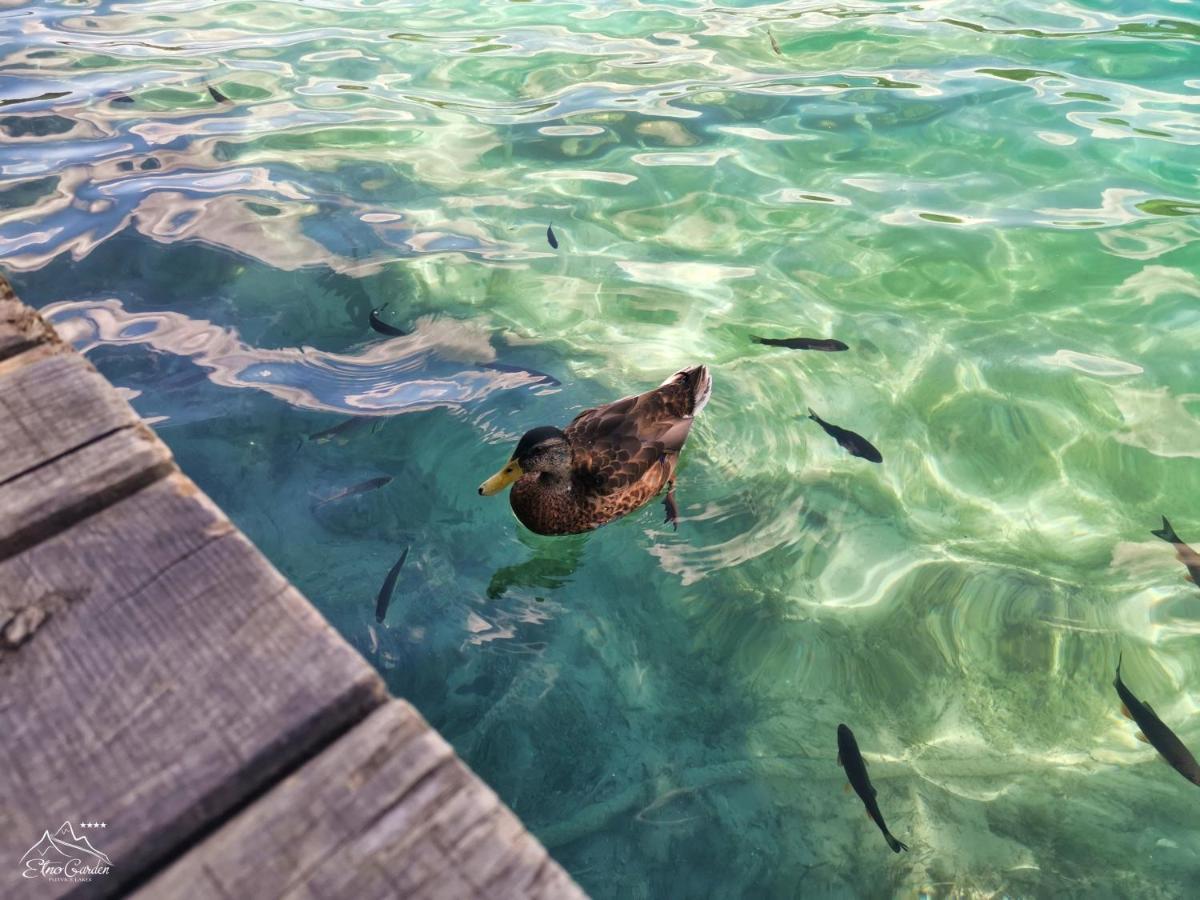 ホテル Green Garden Plitvice Lakes プリトビッチェ・セロ エクステリア 写真